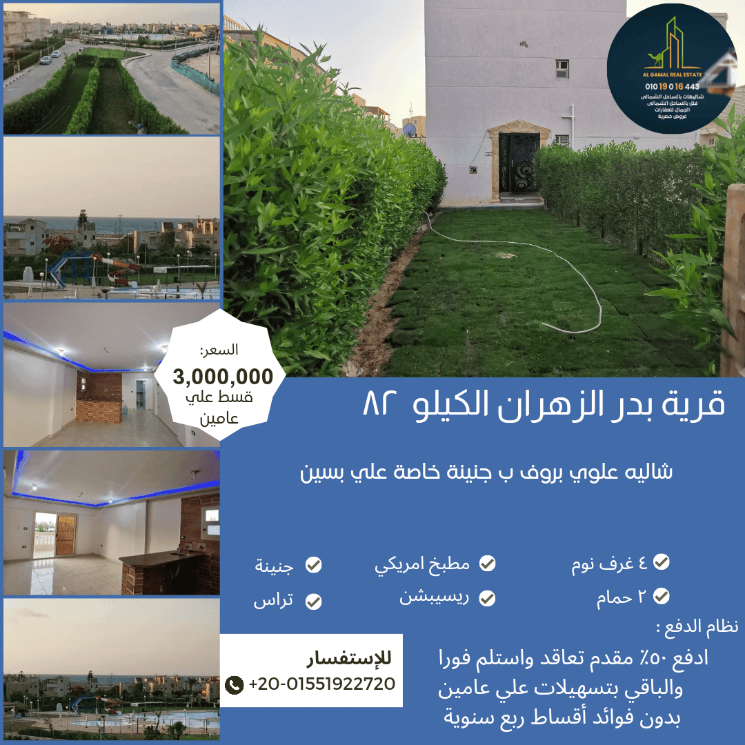 بدر علوي علي بسين